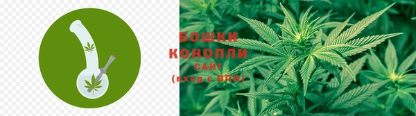 дурь Майский
